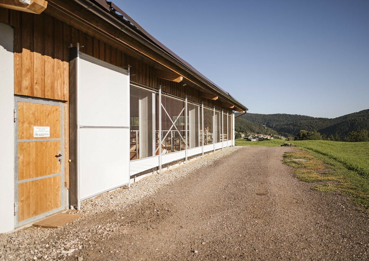 Platterhof in Hafling, South Tyrol