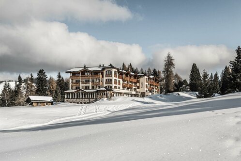Hotel Steger Dellai