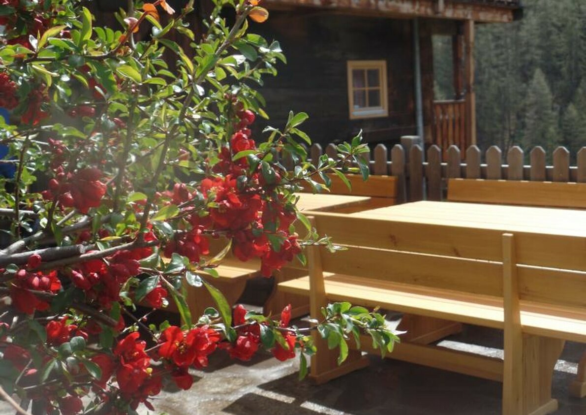 Montferthof