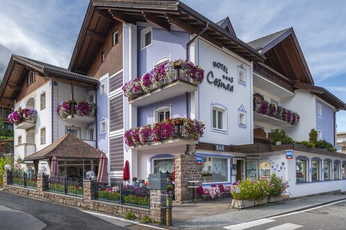 Hotel Cosmea