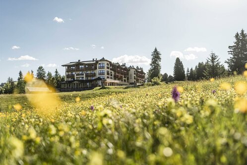 Hotel Steger-Dellai