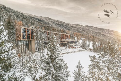 Hotel My Arbor