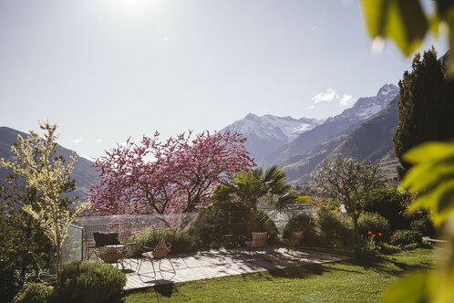 Frühlingshafter Ausblick vom Hohenwart-Garten auf die Berge
