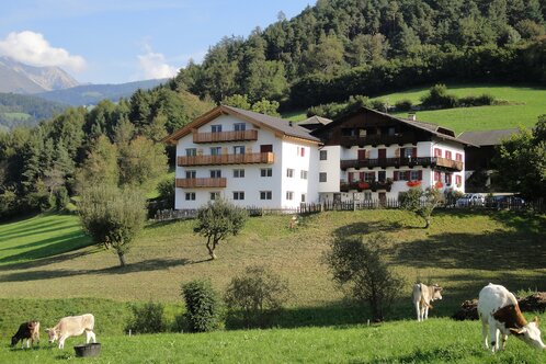 Pensione Steigerhof