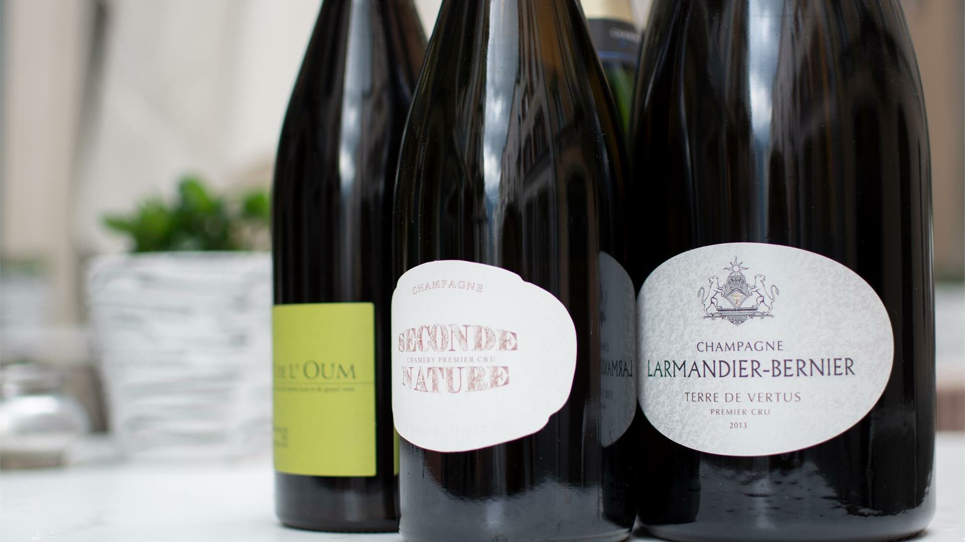 Vinzenz zum feinen Wein • Sterzing/Vipiteno (South Tyrol)